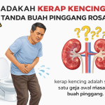 Adakah Kerap Kencing Tanda Buah Pinggang Rosak? Ketahui 10 Simptom Awal