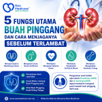 5 Fungsi Utama Buah Pinggang dan Cara Menjaganya Sebelum Terlambat